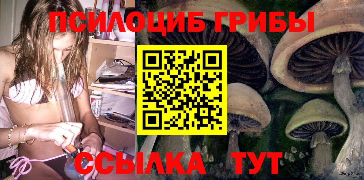 Галлюциногенные грибы MAGIC MUSHROOMS  Вход с VPN  Псилоцибиновые грибы MAGIC MUSHROOMS  Видное 