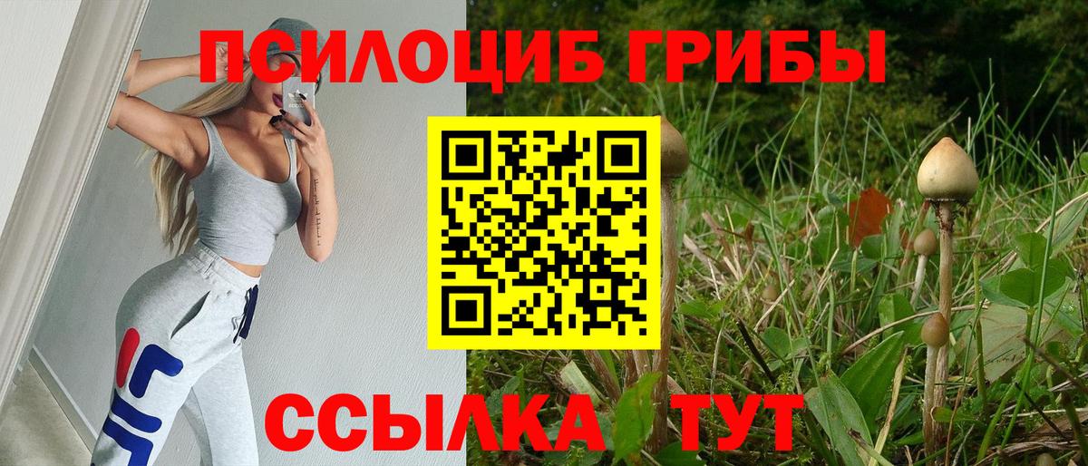 Псилоцибиновые грибы Psilocybine cubensis Видное